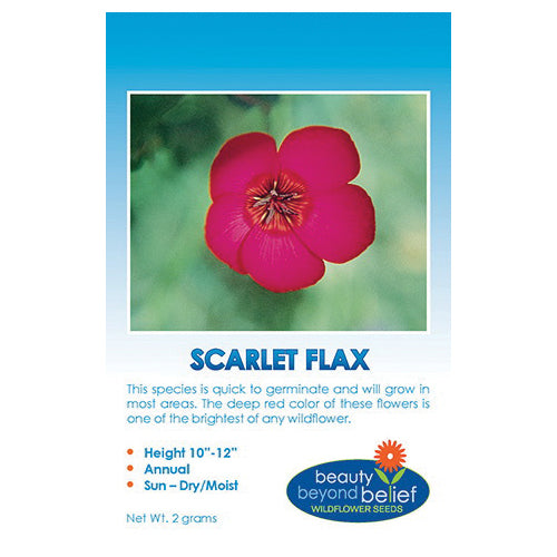 bbbseed Flower Seed