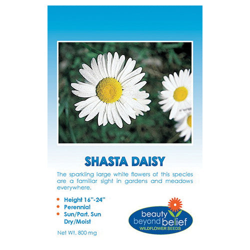 bbbseed Flower Seed