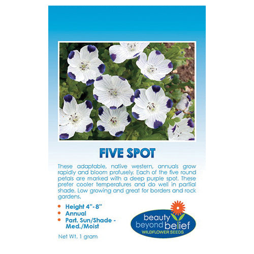 bbbseed Flower Seed