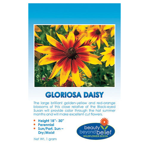 bbbseed Flower Seed