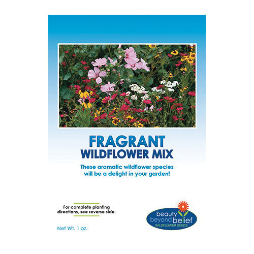 bbbseed Flower Seed