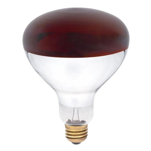 Westinghouse 250 W Red Incandescent Bulb Red