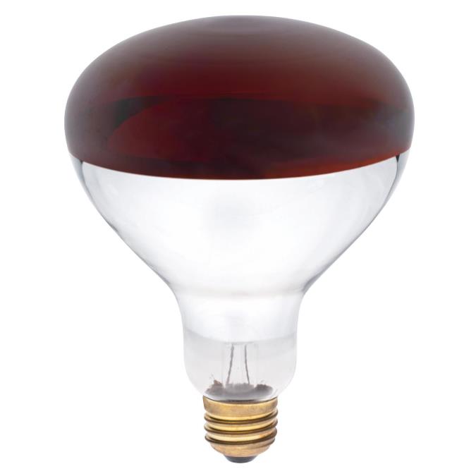 Westinghouse Incandescent Bulb Red