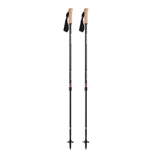 Mountainsmith Andesite Trekking Pole - Carbon Carbon