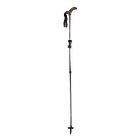 Mountainsmith Globetrotter Trekking Pole - Graphite Graphite