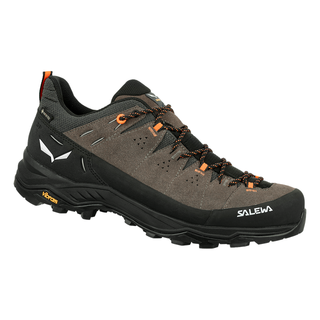 Salewa Men's Alp Trainer 2 GTX Boot Bungee Cord/Black