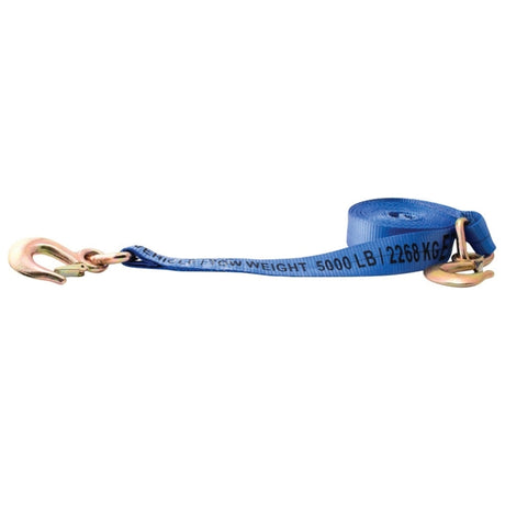 Erickson Tow Strap / 2INX20FT