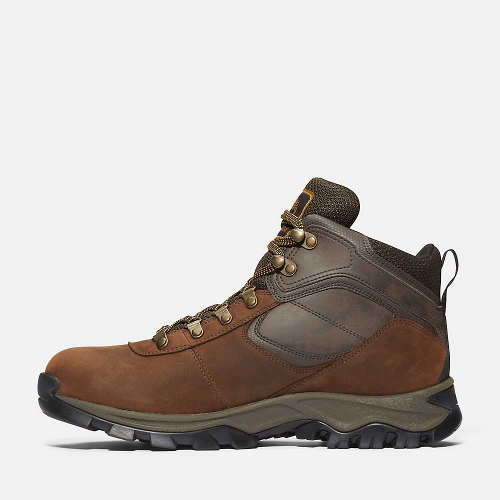 Timberland Men's Mt. Maddsen Mid Lace Up Waterproof Hiking Boot - Dark Brown Full-Grain Dark Brown Full-Grain