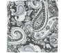 Wild Rags Paisley Silk Western Scarf - Black Black