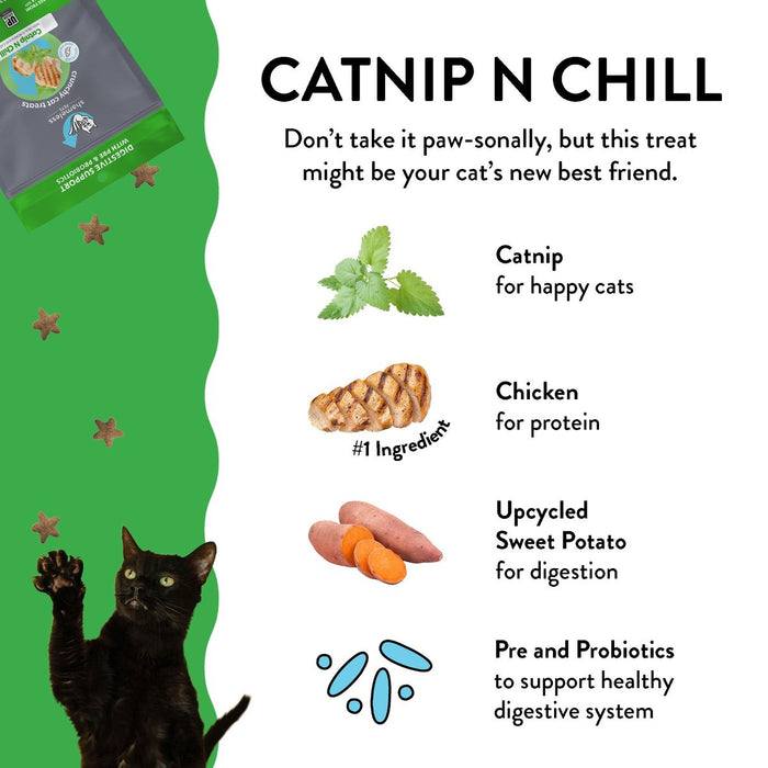 Shameless Pet Catnip N Chill Crunchy Cat Treat