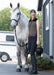 Kerrits Equestrian Apparel Quarter Line Zip Neck Sleeveless Equestrian Shirt - Limestone Limestone