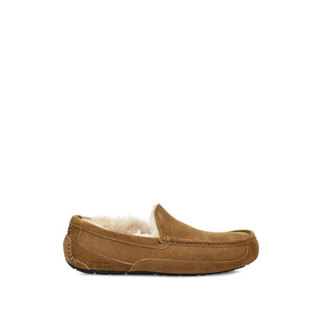 Ugg Men's Ascot Slipper Chestnut