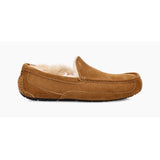 Ugg Men's Ascot Slipper Chestnut