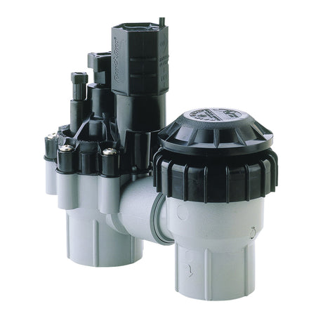 Rain Bird Anti-Siphon Valve 3/4IN