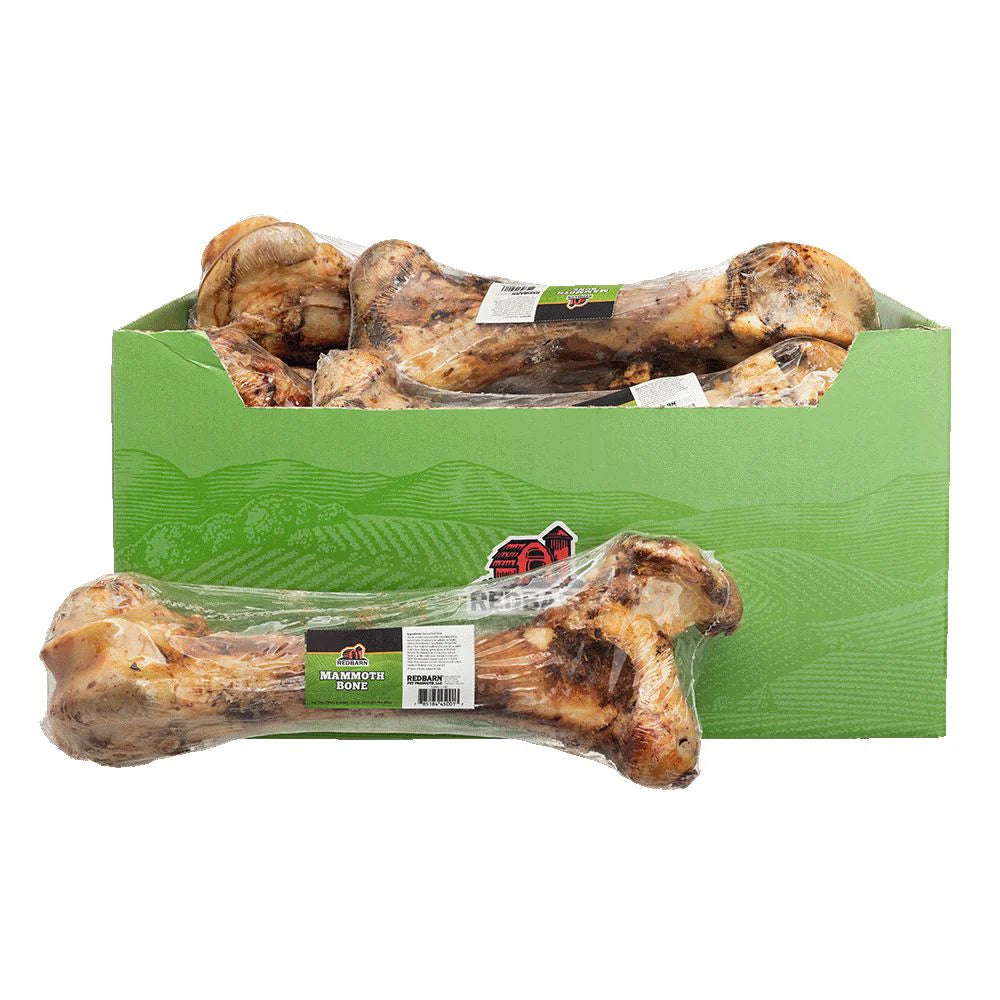 Redbarn Pet Products Mammoth Beef Bone Chew for Dogs