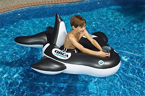 Swimline Orca Squirter Inflatable Pool Toy Orca