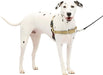 PetSafe Easy Walk No Pull Dog Harness Fawn