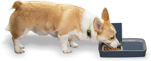 PetSafe Digital 2 Meal Programmable Pet Feeder