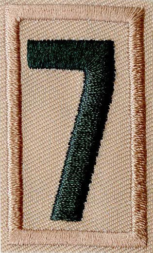 Boy Scouts of America Scouts BSA Unit Numeral - 7 Green