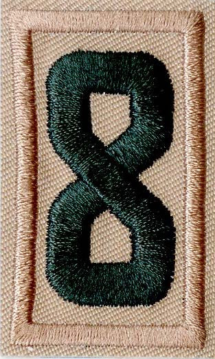 Boy Scouts of America Scouts BSA Unit Numeral - 8 Green