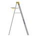 Werner 6ft Type IA Aluminum Step Ladder
