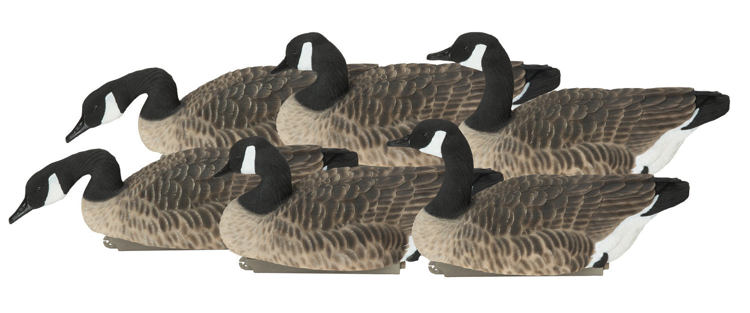 Avery Outdoors Ghg Pro-grade Xd Canada Floater Decoys - Harvester Pack