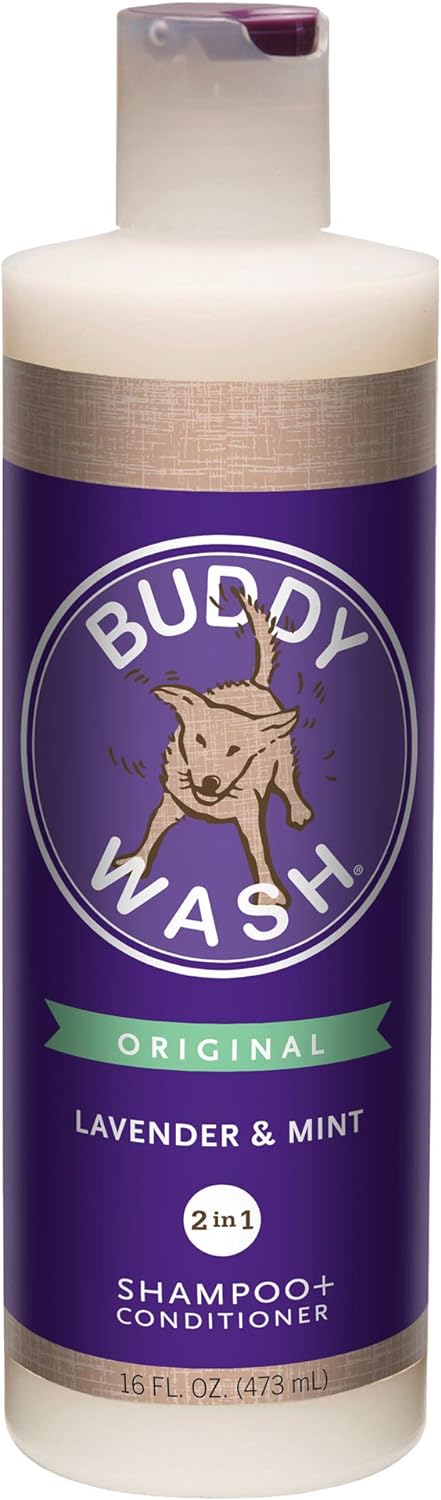 Cloudstar Buddy Wash 2-in-1 Dog Shampoo & Conditioner (Lavender & Mint) - 16oz & 1 Gallon / Lavender & Mint