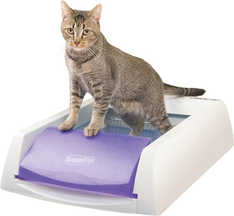 PetSafe ScoopFree Original Self-Cleaning Litter Box