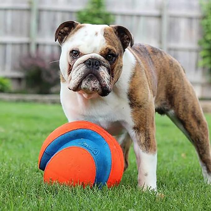 Chuckit! Kick Fetch Ball Dog Toy - Small / Large