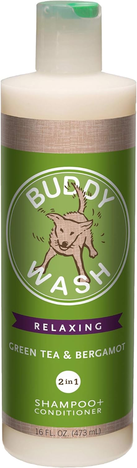 Cloudstar Buddy Wash 2-in-1 Dog Shampoo & Conditioner (Green Tea & Bergamot) - 16oz / Green Tea & Bergamot