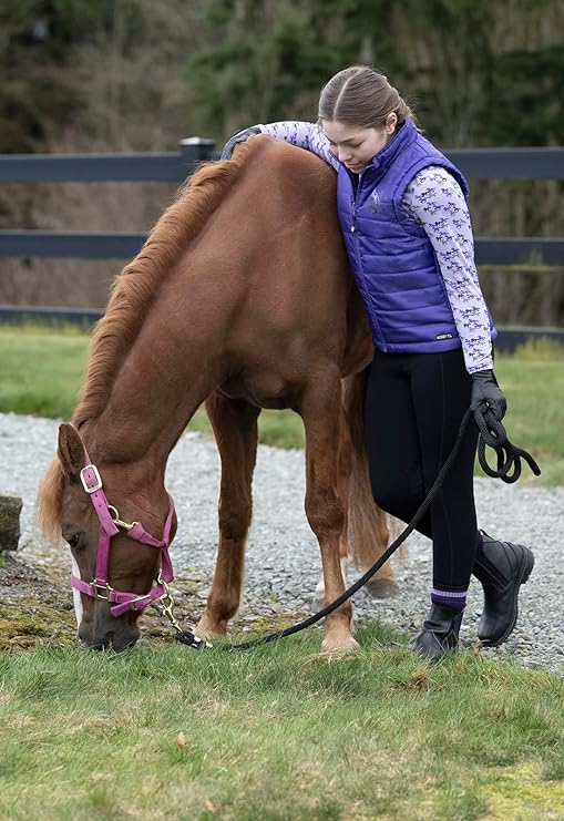 Kerrits Equestrian Apparel Kids Pony Tracks Reversible Quilted Vest - Huckleberry Huckleberry Run Free / Iris