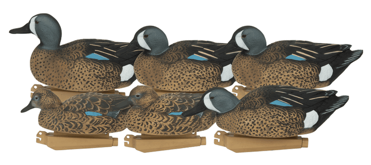 Blue wing teal clearance decoys