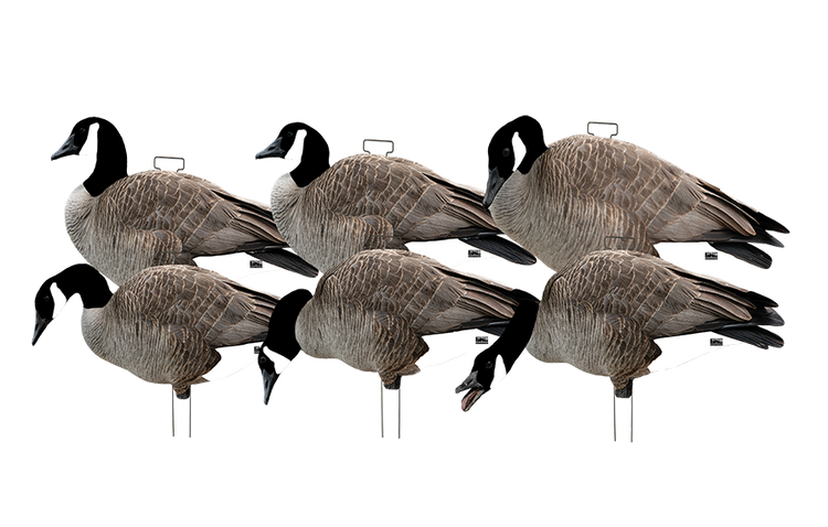 Avery Outdoors Ghg Pro-grade Silhouette Canada Goose Decoys