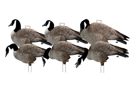 Avery Outdoors Ghg Pro-grade Silhouette Canada Goose Decoys