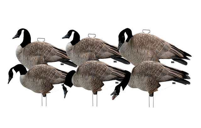 Avery Outdoors Ghg Pro-grade Silhouette Canada Goose Decoys