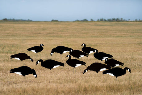 Avery Outdoors Ghg Pro-grade Silhouette Black&white Canada Goose Decoys