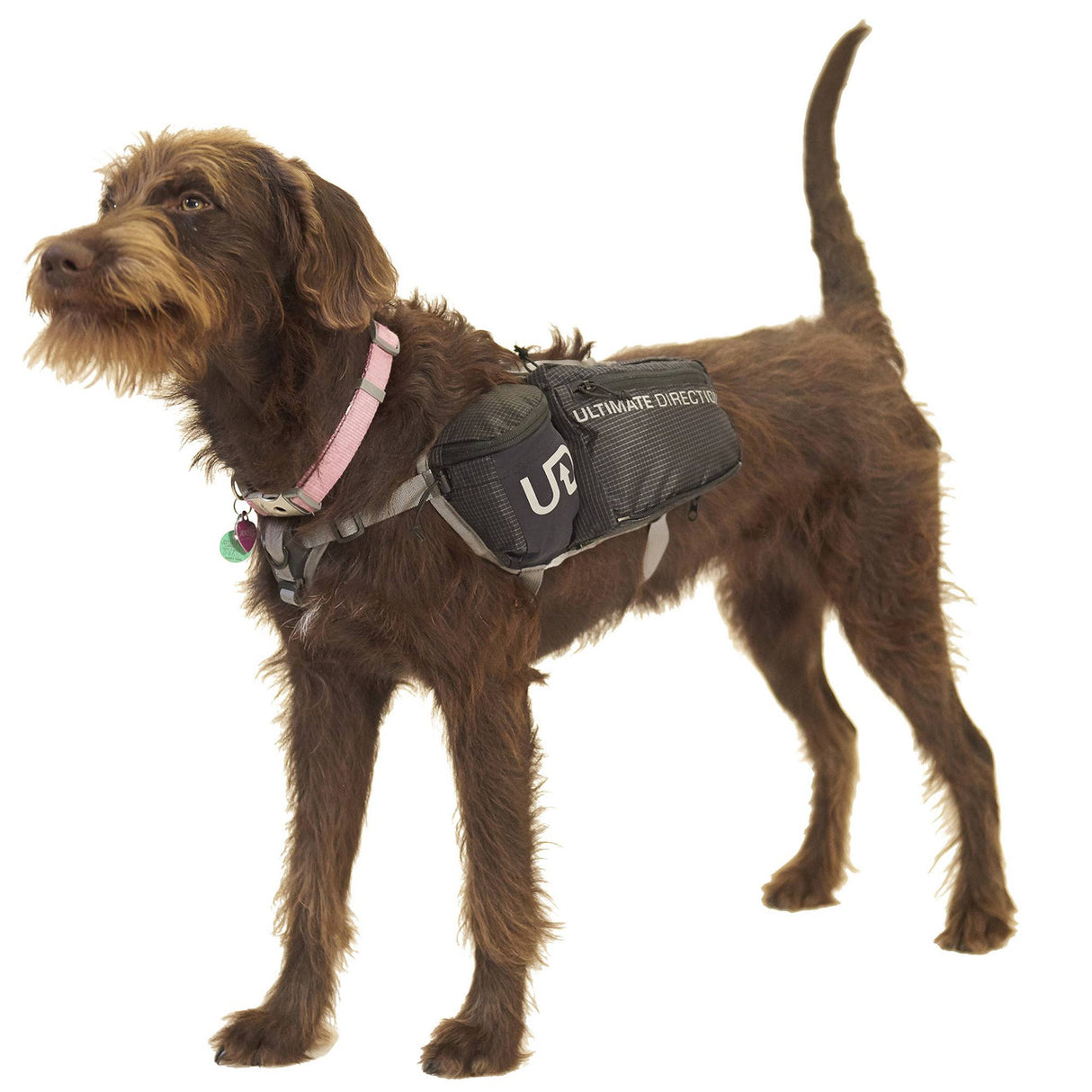 Ultimate Direction Dog Vest Black