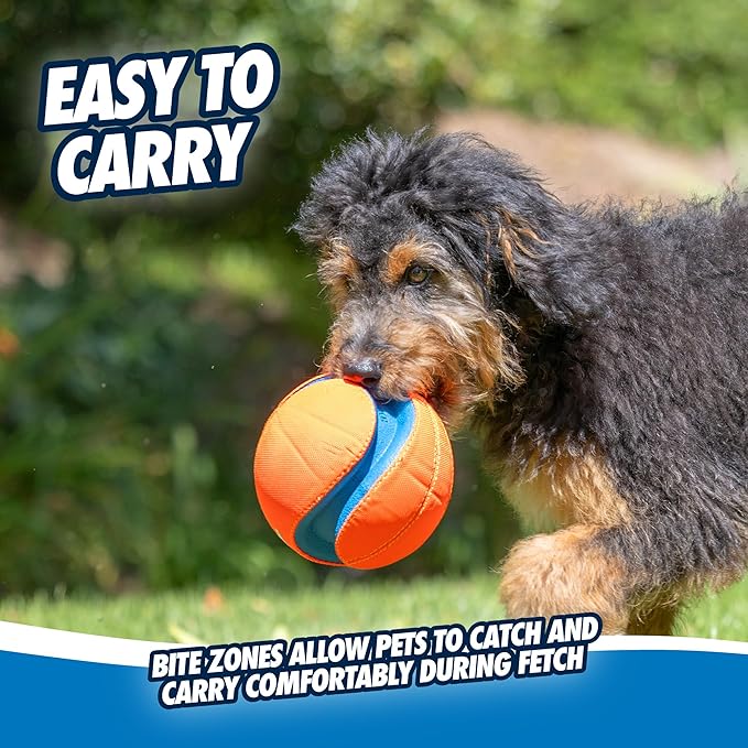 Chuckit! Kick Fetch Ball Dog Toy - Small / Large