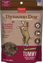 Cloudstar Dynamo Dog Tummy Functional Soft Chews Dog Treats (Pumpkin & Ginger) - 14oz / Pumpkin & Ginger