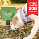 Cloudstar Wag More Bark Less Grain Free Chicken & Sweet Potato Jerky Dog Treats - 10oz