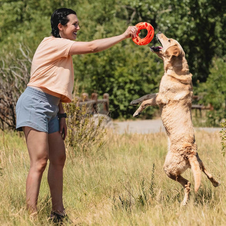 Chuckit! Air Fetch Wheel Dog Toy - Large