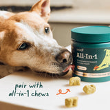 Woof Pet All-in-1 Wellness Pops - Small