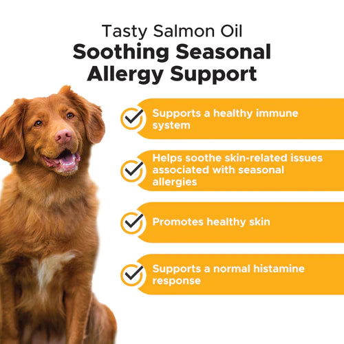 Pet Honesty Allergy Anti-Itch Salmon Oil - Turkey