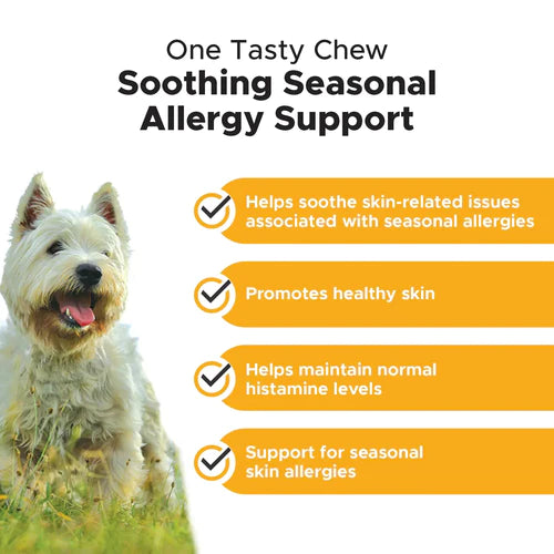 Pet Honesty Allergy Skin Health Supplement Chews - Salmon