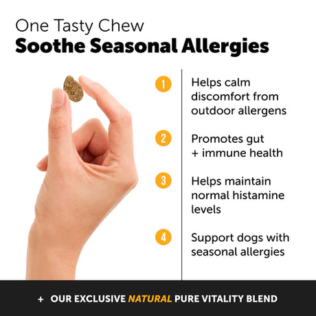 Pet Honesty Allergy Support Supplement Chews - Peanut Butter