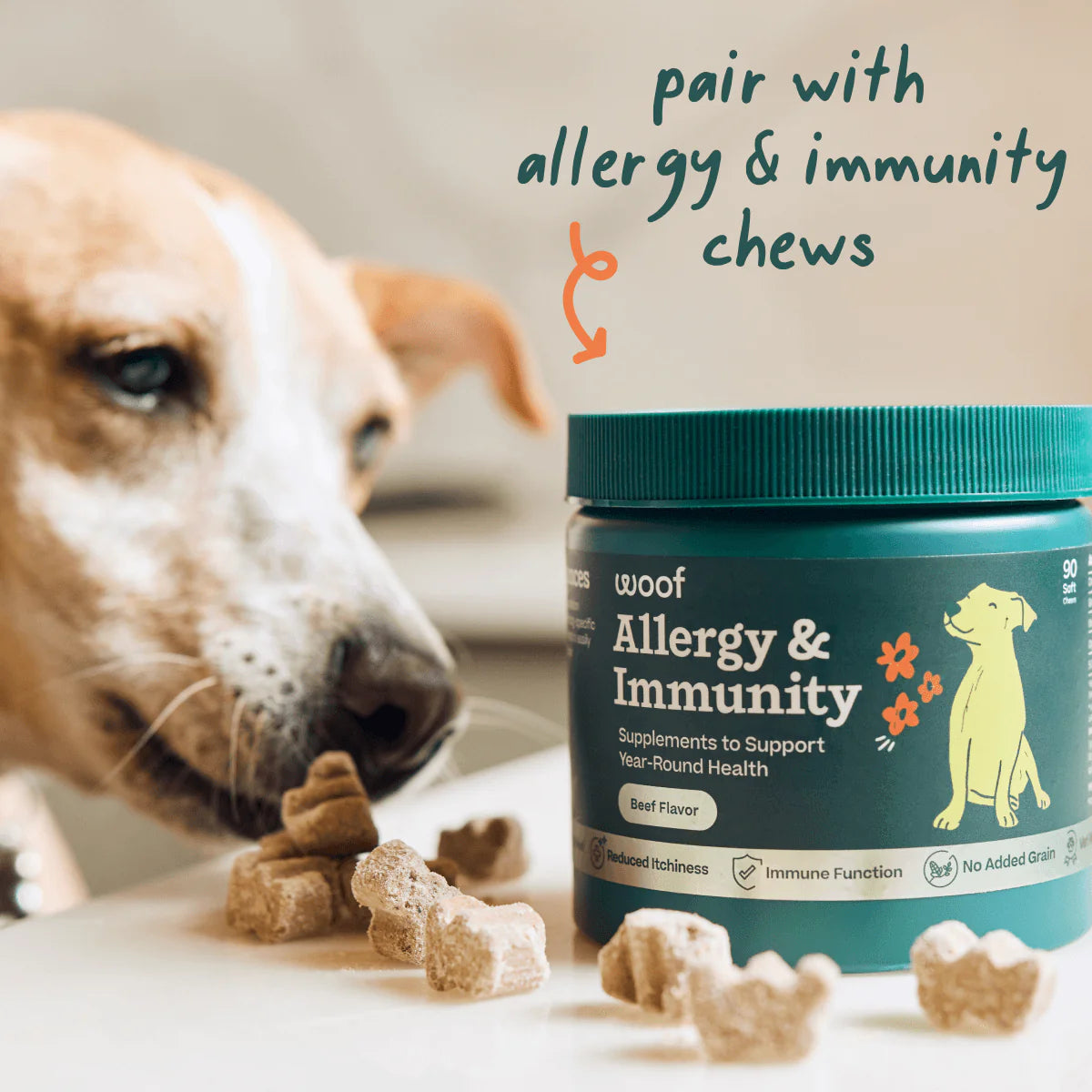 Woof Pet Allergy & Immunity Pops - Large