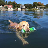 Chuckit! Amphibious Bumper Floating Dog Toy Small - Assorted