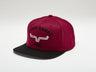 Kimes Ranch Arched Trucker Hat Dark red