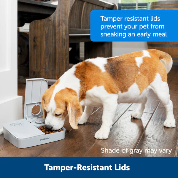 PetSafe Automatic 2 Meal Pet Feeder