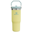 Stanley The Iceflow Flip Straw 2.0 Tumbler Pomelo 30oz Pomelo